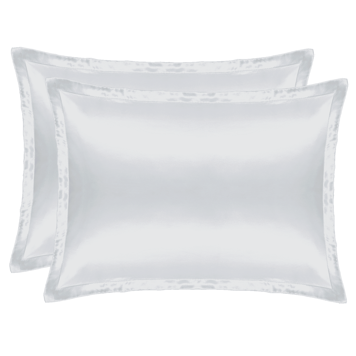 Silk Pillowcase Silver Duo
